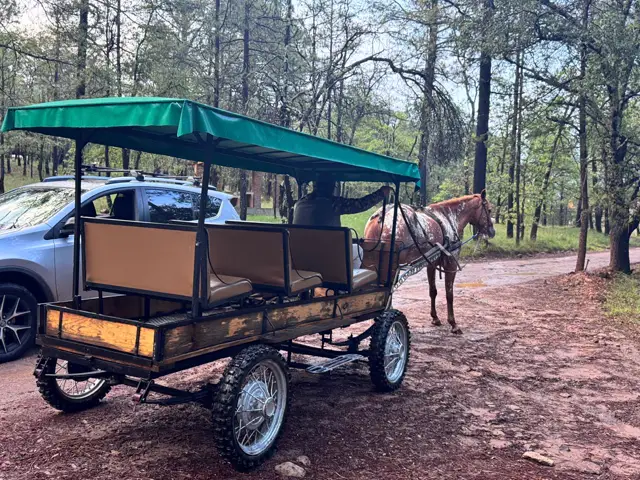 Paseo en carreta