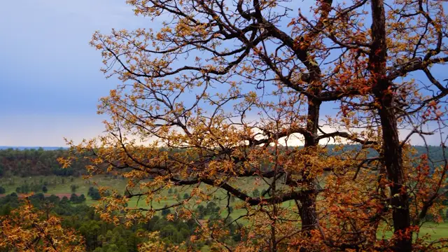 Otoño en la sierra
