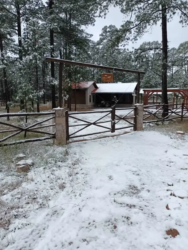 Portón con nieve