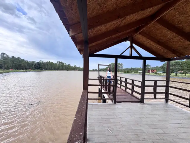Lago entre los pinos